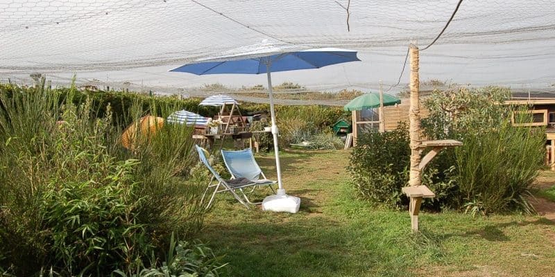 Refuge de l'Ecole du Chat de Quiberon