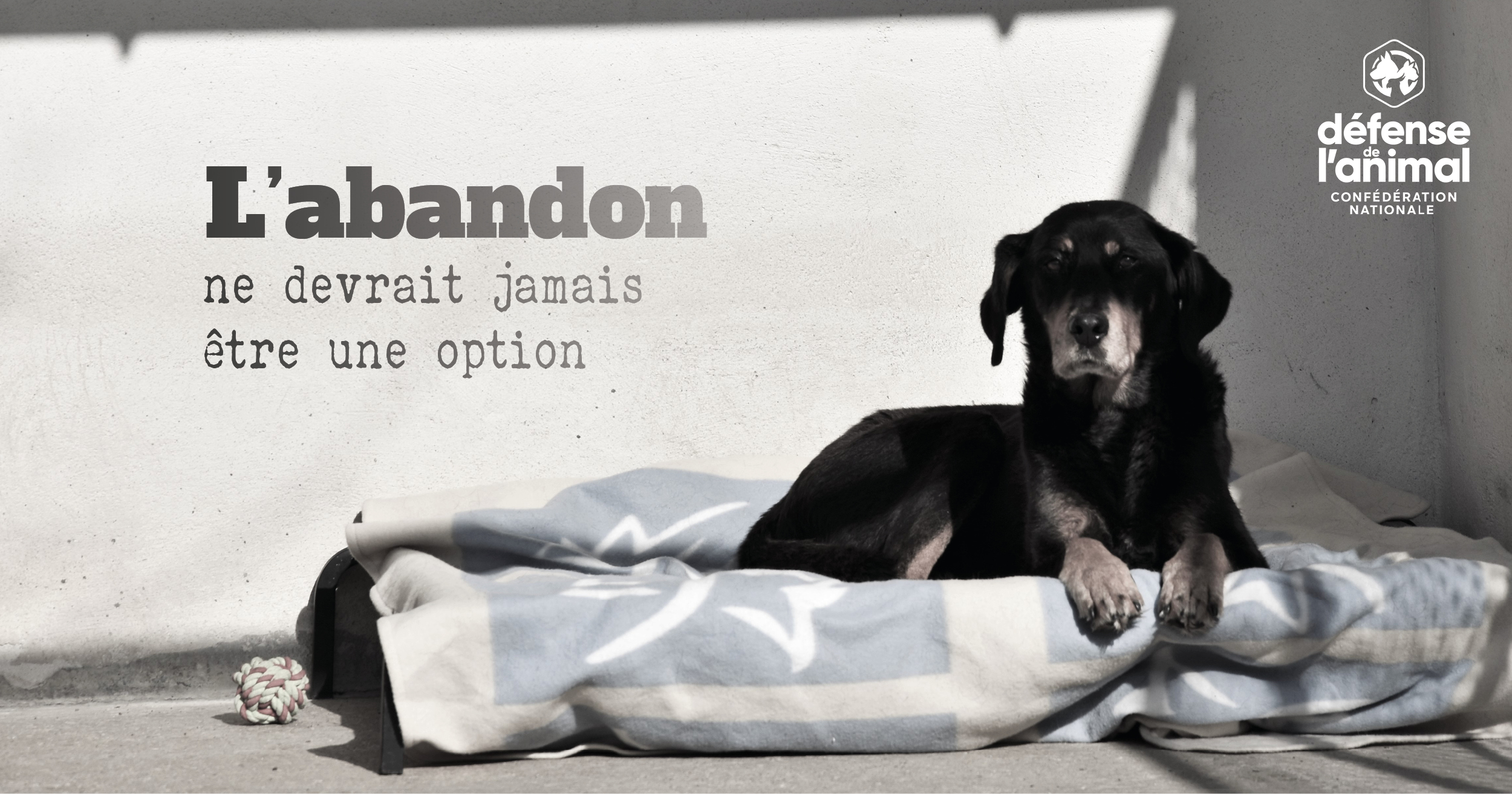 Message contre l'abandon : l'abandon ne devrait jamais être une option.