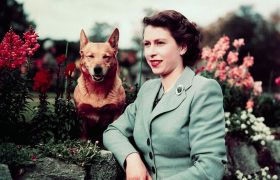 Elisabeth II et son inséparable corgi.