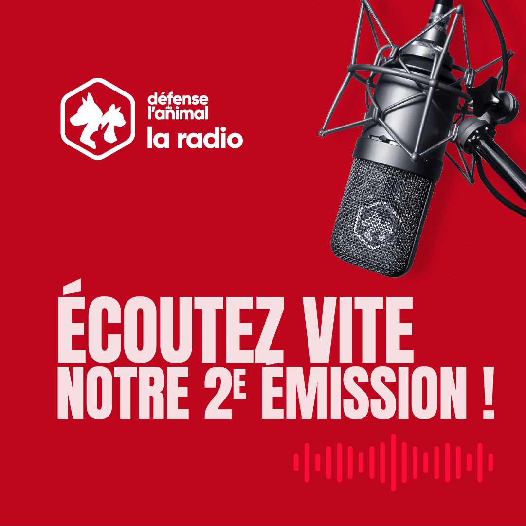 Défense de l'Animal, La Radio : écoutez notre 2è émission - Défense de ...