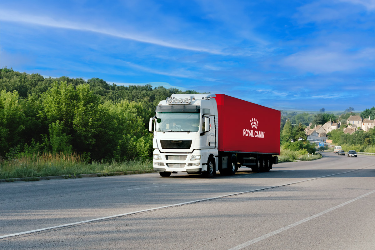SOLIDARIT Encore 25 Tonnes D aliments Chien Offertes Par Royal Canin solidarit-encore-25-tonnes-d-aliments-chien-offertes-par-royal-canin