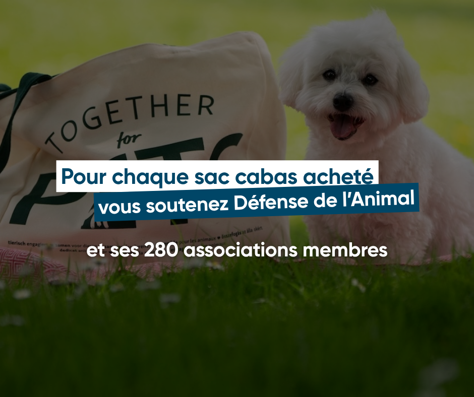 Pour chaque sac cabas acheté, vous soutenez Défense de l'Animal et ses 280 associations membres